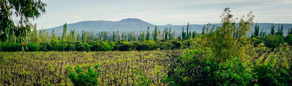 Finca La Encantada San Rafael (Mendoza) Exterior foto