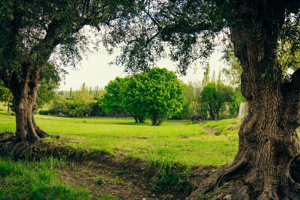 Finca La Encantada San Rafael (Mendoza) Exterior foto