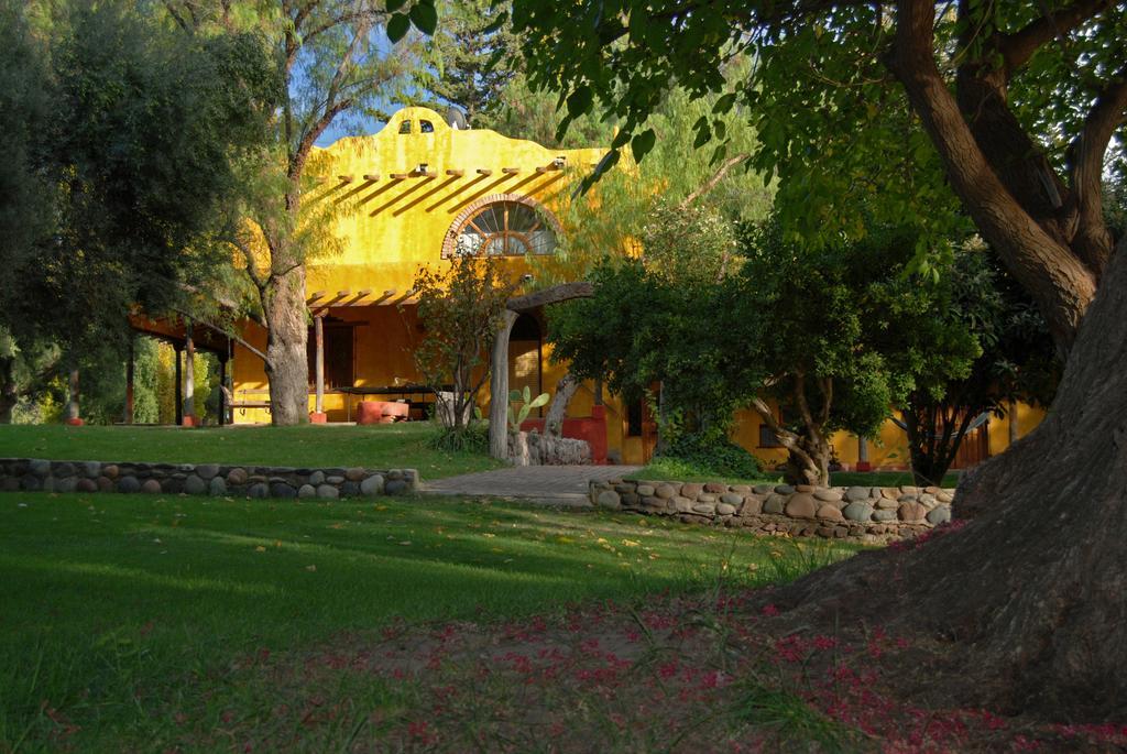 Finca La Encantada San Rafael (Mendoza) Quarto foto
